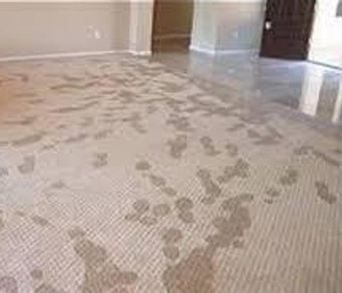 wet carpet