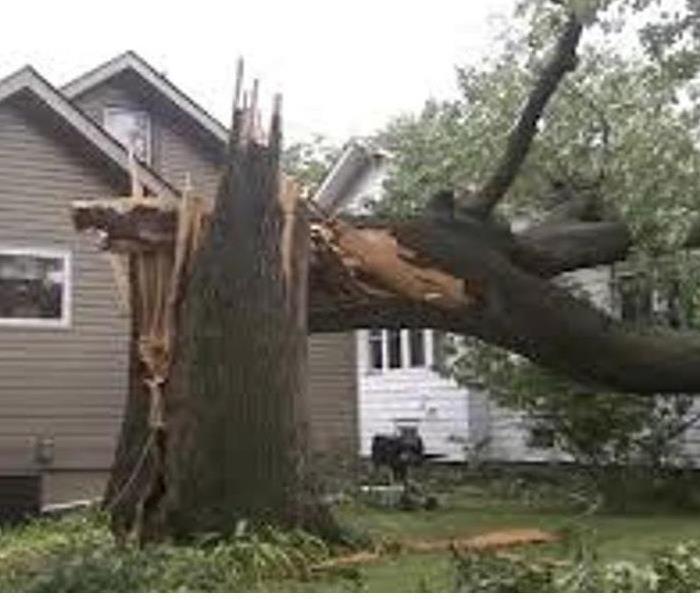 tips to protect your home from storm damage
